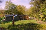 carbeth39